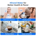 thumbnail image 6 of Waterdrop A2G Mineral Countertop Reverse Osmosis System Water Filter, Hot and Cold RO System, 6 Temperature Settings, 3:1 Pure to Drain, 6-Stage, Portable Pure Water Tank, 6 of 10
