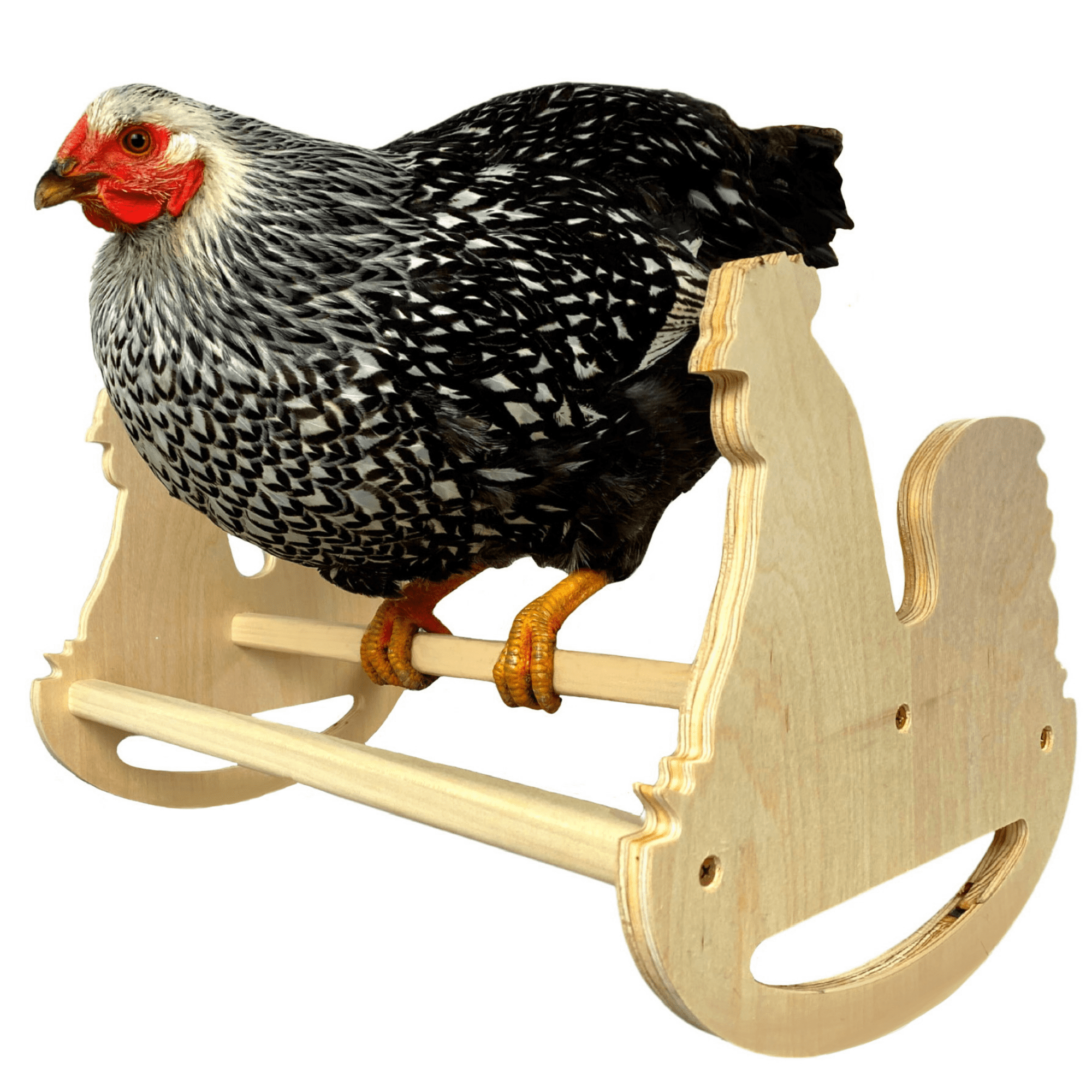 Chicken Rocking Roosting Bar Toy for Coop Made in The USA! Solid Strong