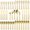 Gold Satin, variant on Cube Gold 20-Piece Flatware Set, Forged Cutlery Set, Matte Gold Silverware Service for 4, Stainless Steel Tableware with Square Handle for Home/Restaurant, Dishwasher Safe