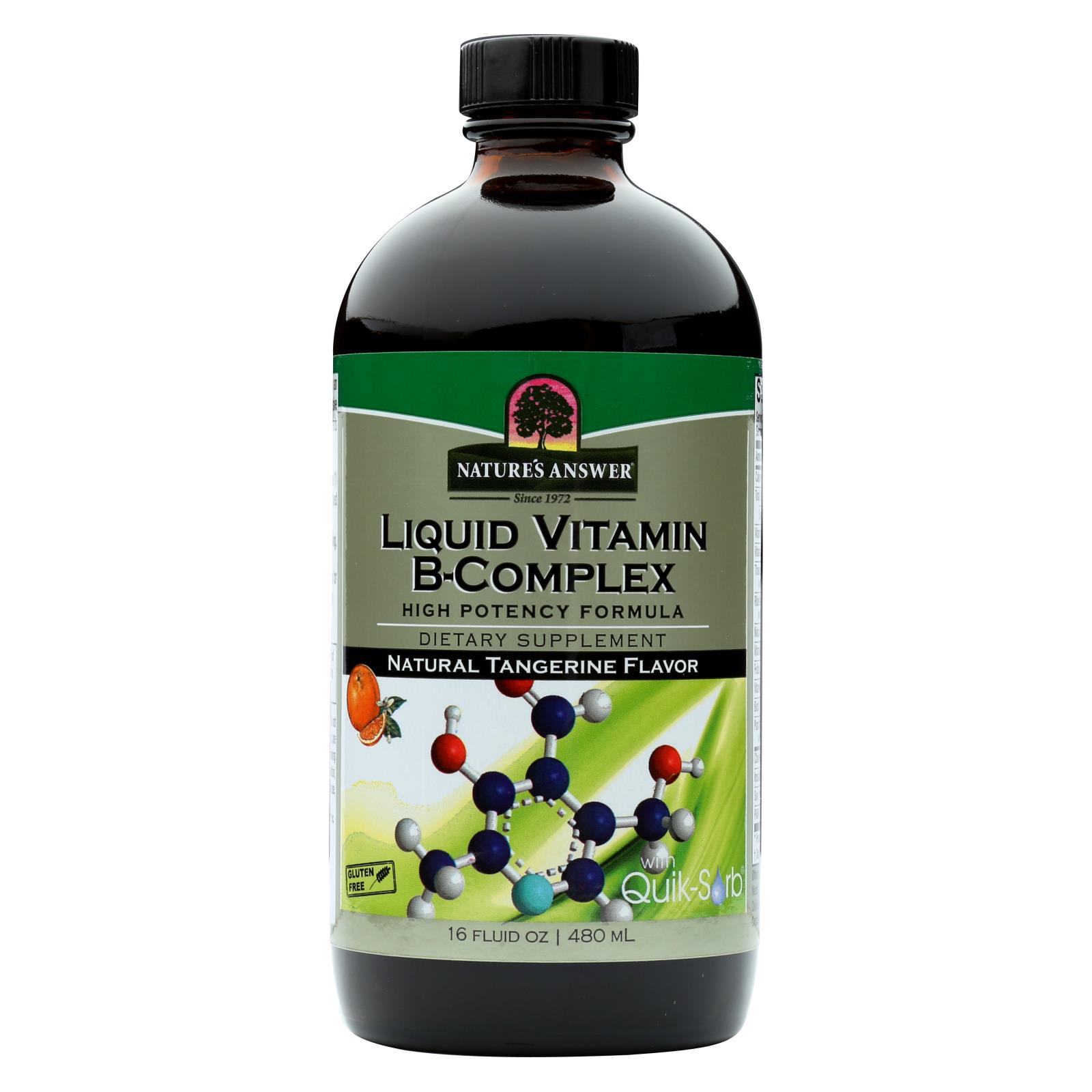 Nature's Answer Liquid Vitamin 16 Fl Oz