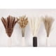 thumbnail image 4 of Ramo de 100 piezas de hierba de pampa seca para decoración, compatible con bodas, fiestas, decoración bohemia, 4 of 5