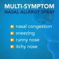 Equate Triamcinolone Acetonide Nasal Allergy Spray, 55 mcg per spray
