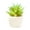 #6, variant on Ludlz Succulents Plants Artificial, Mini Artificial Succulents Desk Plant Faux Succulents in Pots Fake Succulents Plant Decor Plastic not Easy to Break