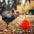 thumbnail image 3 of unbranded Plástico Para Dispensar A Gallinas Y Gansos En Exteriores, 3 of 5