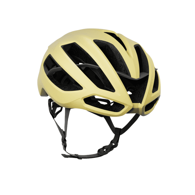 KASK Protone Icon Helmet