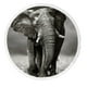 GCKG Style Noir et Blanc Vieux Éléphant Rond Serviette de Plage Tapis Plage Châle Couverture de Plage avec Pompons Tapis de Yoga – image 1 sur 3