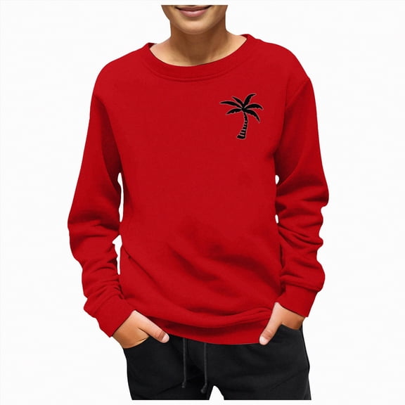 Ccpelsie Toddler Sweatshirt Boys Long Sleeve Shirts Casual Kids Cotton Graphic Fall Winter Pullover Tops(Red,2-43Years)