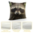 thumbnail image 4 of COMIO  Decorative Throw Pillow Covers Square Pillow Covers for Sofa Double Sided Pillow Covers Cub Raccoon Pillow Cases for Living Room Super Soft Decorative Cushion Cover, 4 of 5