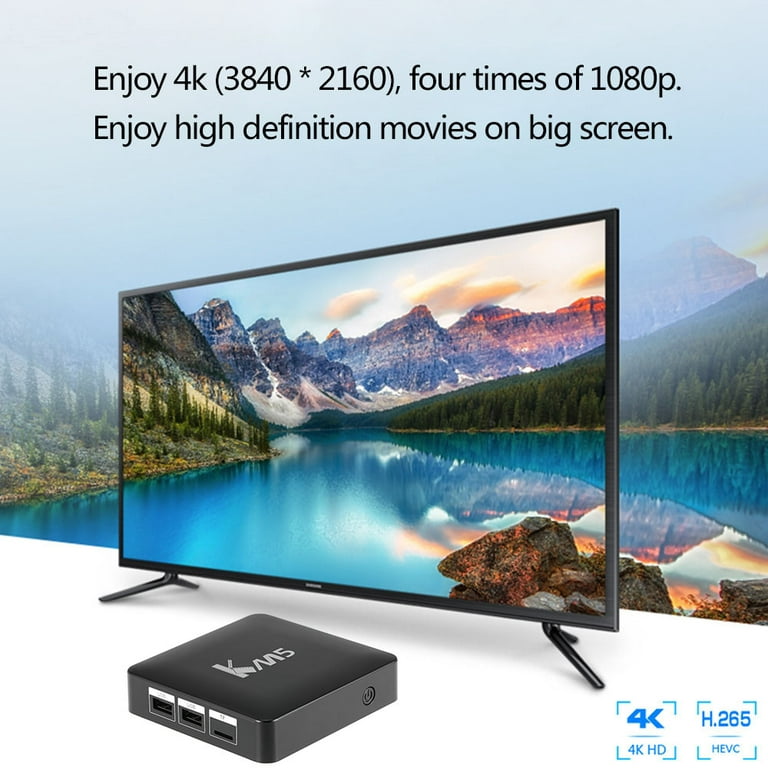X6 Smart TV Box Amlogic S905Y4 Quad Core 2G16G SATA6 Hard Disks 2.4/5G WIFI  BT4.0 4K  Netflix Portable TV Prefix VS X98