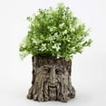 thumbnail image 7 of Bits and Pieces - Tree Face Planter - Polyresin Indoor/Outdoor Urn, 7 of 7
