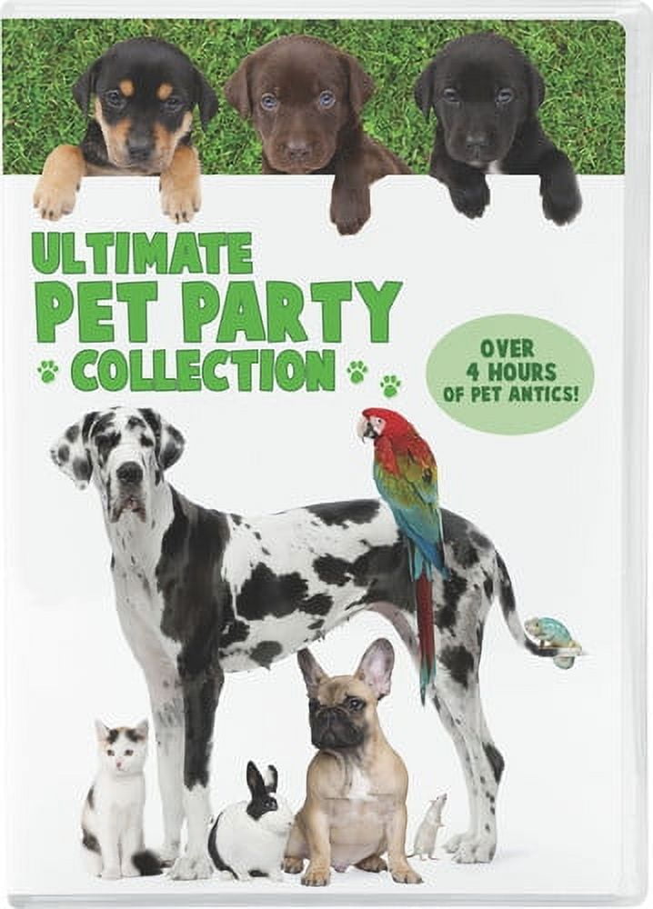 Animal Atlas: Super Hero Animals - Walmart.com