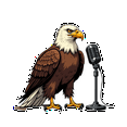 thumbnail image 6 of Multicolor Vinyl Eagle Stickers Waterproof Detective Bald Eagle Stickers for Notebooks Laptops Instruments, 6 of 9