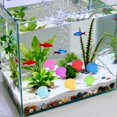 thumbnail image 6 of DVKOVI Mini Ocean Resin Animals Starfish Seashell Tiny Sea Models for Miniatures DIY Fish Tank Micro Landscaping One Size, 6 of 9