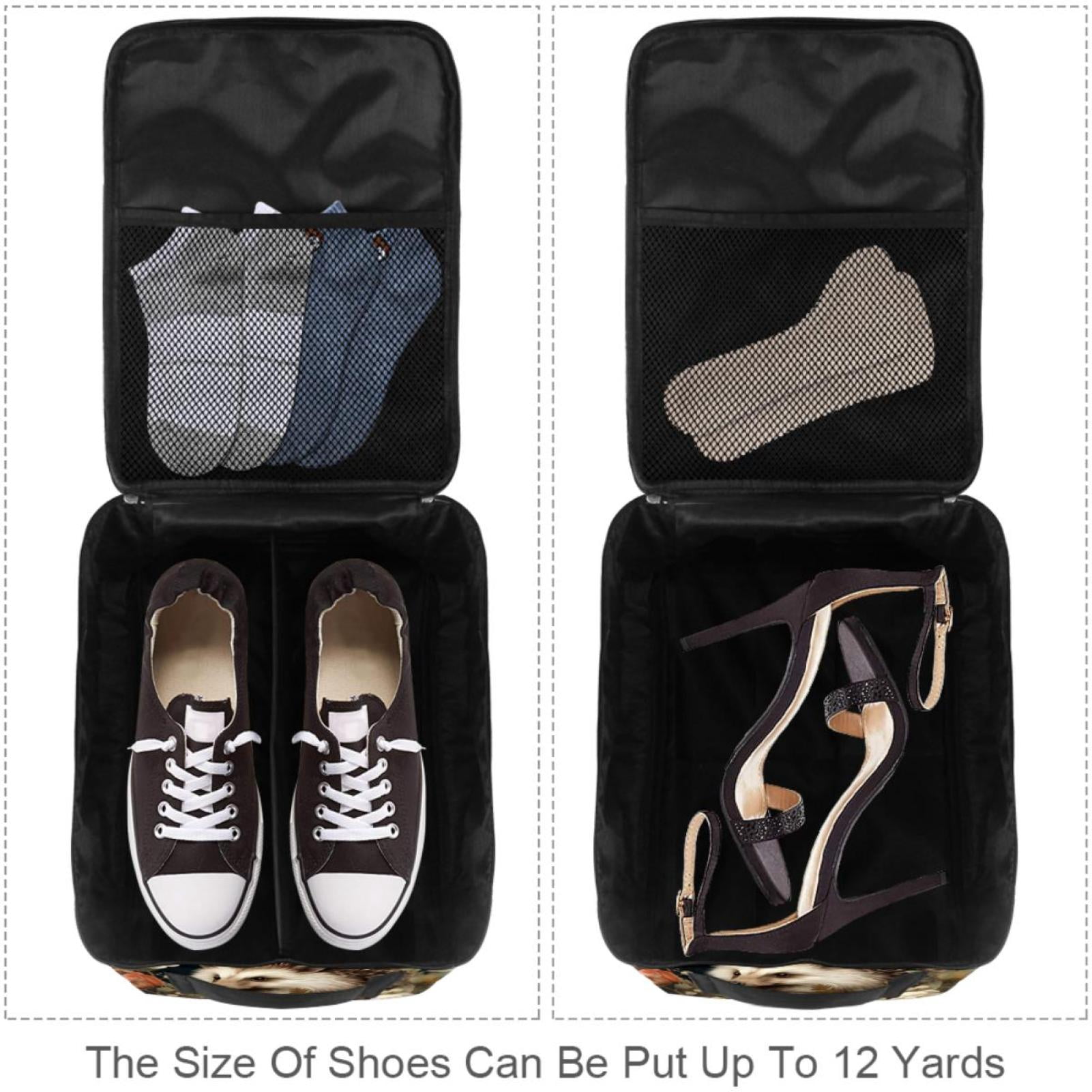 Hedgehog Polyester Shoe Boxes 23x31cm 9x12in - Storage Organizer for Shoes - Durable and Spacious Container for Footwear