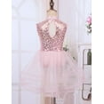 thumbnail image 6 of CHICTRY Girls Lyrical Ballet Dance Dress Floral Lace Mesh Latin Dance Skirted Leotard, 6 of 7