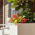 thumbnail image 5 of PolyStone Kensington Tall Modern Outdoor/Indoor Column Planter, 16” L x 16" W x 36" H, Lightweight, Heavy Duty, Weather Resistant, Polymer Finish, Commercial and Residential - White, 5 of 5