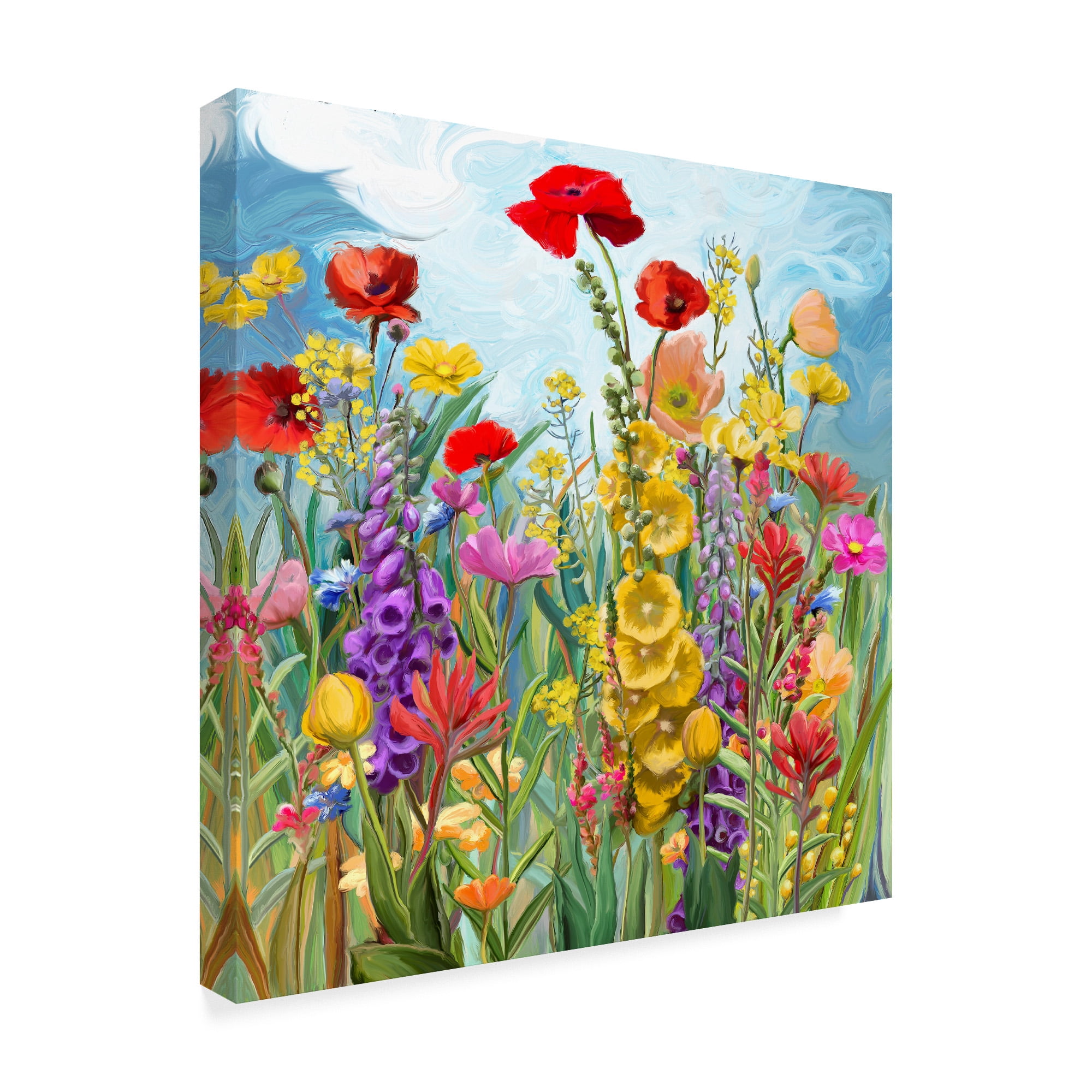 Trademark Fine Art 'Floral Fields 1' Canvas Art by Art Licensing Studio