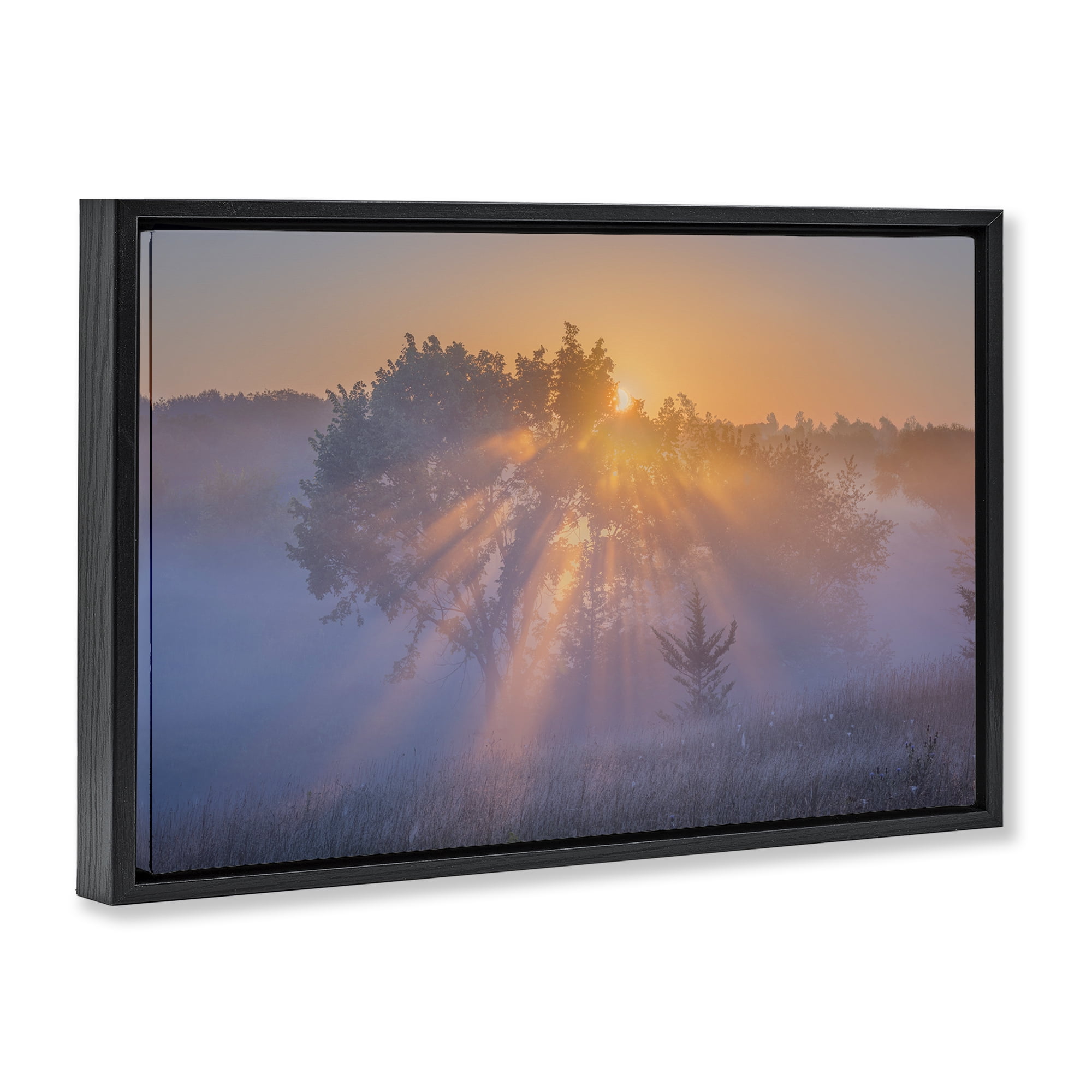 Stupell Industries Sun Rays Peeking Landscape Landscape & Nature Photography Black Floater Framed Canvas Art Print Wall Art, 25 x 17