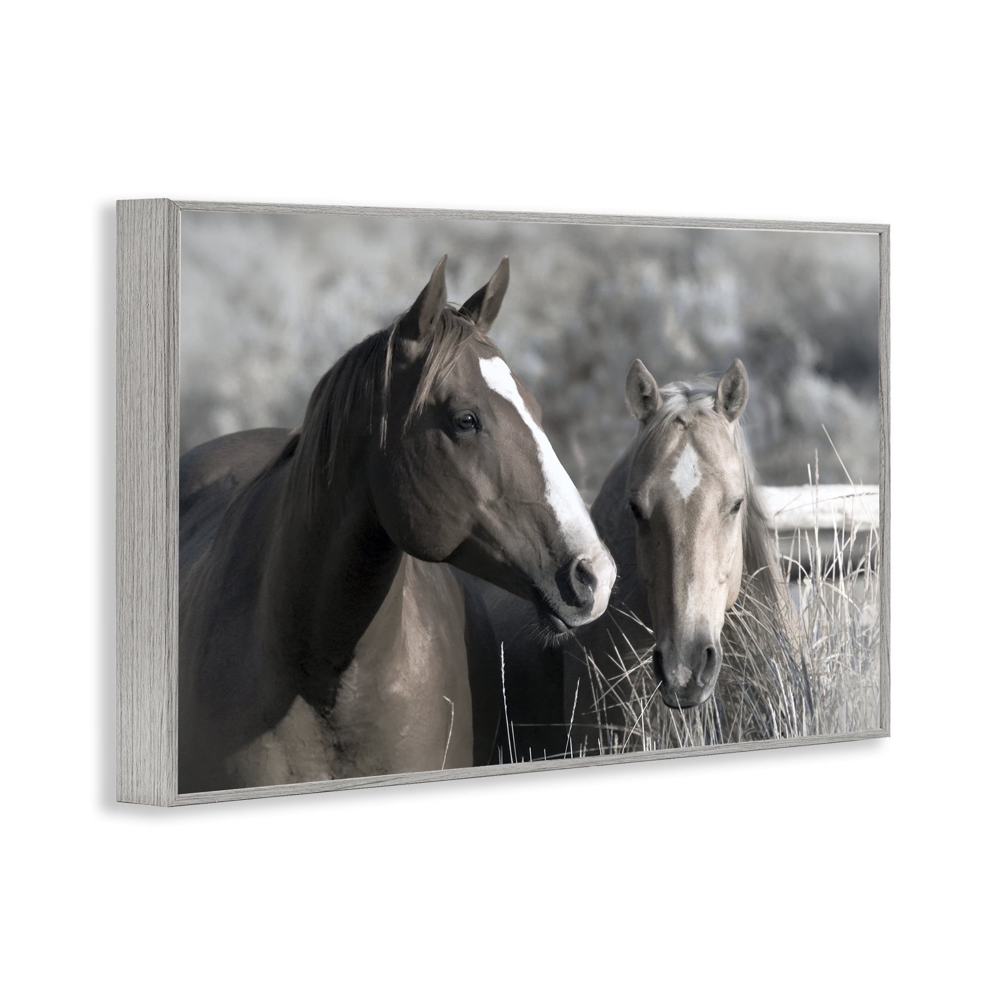 Stupell Industries Content Horses In Pasture Gray Framed Giclee Art, design by Danita Delimont