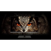 Asus ProArt PA32UCX-PK 32 4K UHD Mini LED LCD Monitor - 16:9 - Black, Black
