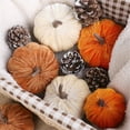 thumbnail image 4 of Assorted Velvet Artificial Pumpkins Set, Fall & Thanksgiving Farmhouse Table Decor, Soft Fabric Pumpkins for Mantel Tray Shelf Cloche Indoor Home Halloween Centerpiece, 4 of 9