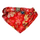 thumbnail image 2 of Collar Perros Gatos Correa Ajustable Seguridad Con Paliacate, 2 of 3