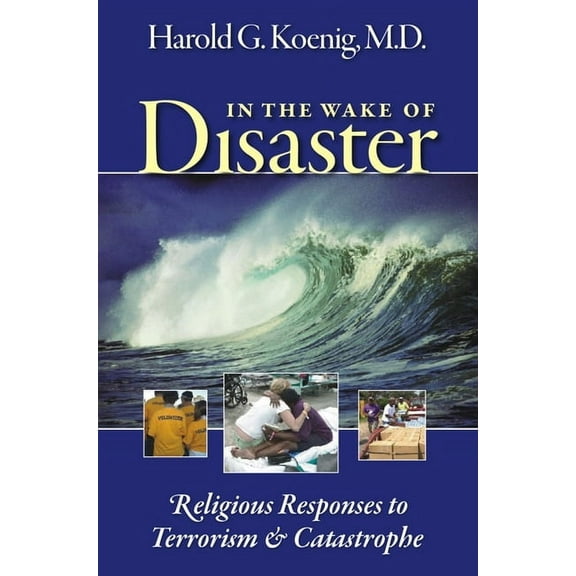 In the Wake of Disaster : Religious Responses to Terrorism and Catastrophe (Paperback)