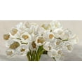 thumbnail image 2 of Sanna, Leonardo 32x18 White Modern Wood Framed Museum Art Print Titled - Tulipes blanches, 2 of 4