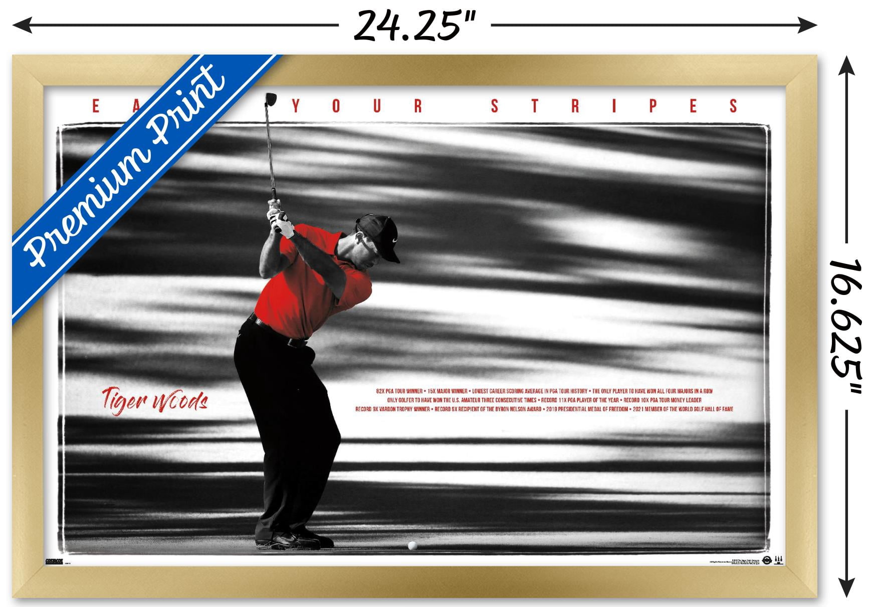 Tiger Woods - Earn Your Stripes 24.25" x 16.5" Framed Poster, by Trends International