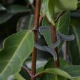 thumbnail image 4 of 200Pcs Durable Plant Clip Flower Stems Vine Support Clips Fixing Tool Garden Accessories20mm, 4 of 4