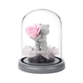 thumbnail image 1 of Oso de confesión de rosa de flores preservadas en cúpula de cristal, regalo para el día de San Valentín, día de la madre, cumpleaños, 1 of 5