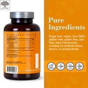 NEW NORDIC Turmeric Curcumin Gummies - 300 mg Joint Health Sugar Free Supplement - 60 Count