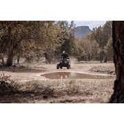 Coleman Powersports AT200R 169cc Adult Gas ATV, High-Speed Off-Road Quad Up to 38 MPH & 20 Miles Range, Automatic Transmission, Front & Rear Cargo Racks, Ages 16 and Up, Black