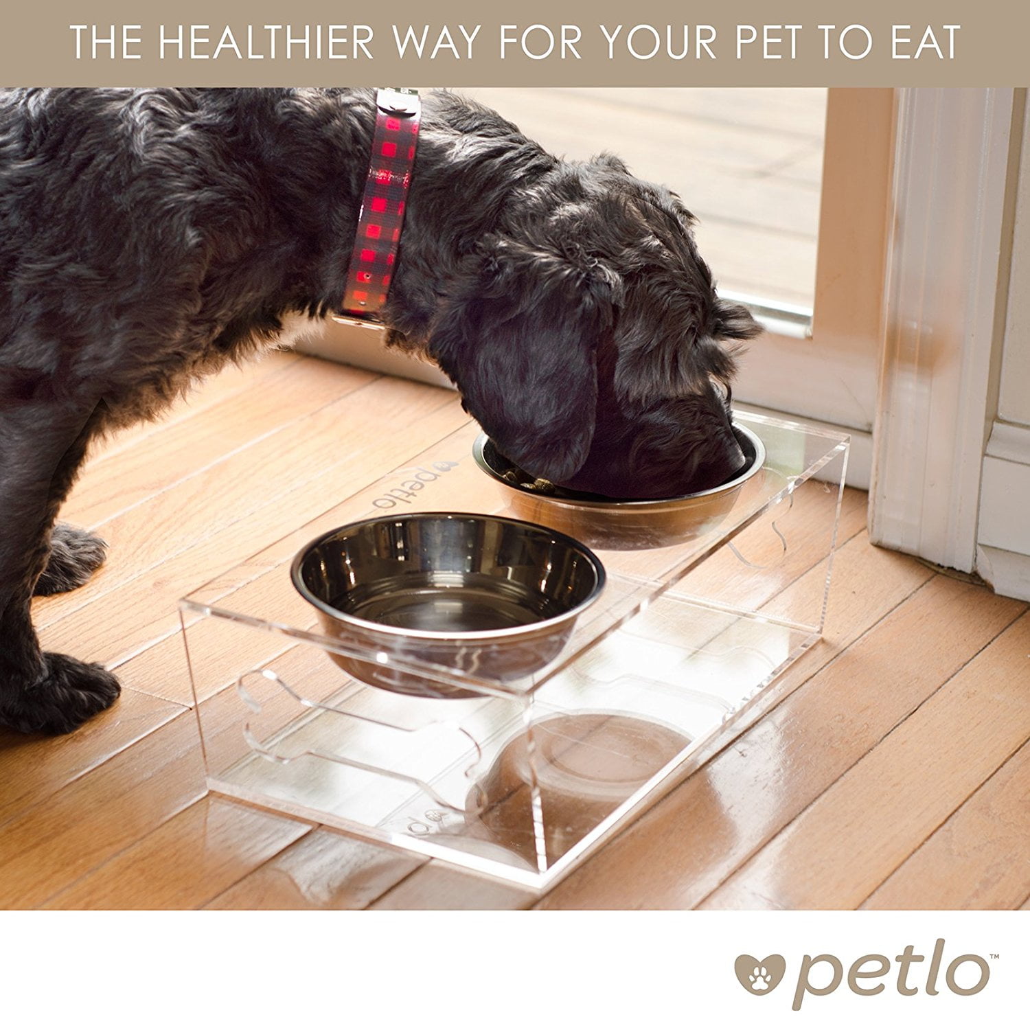 raised dog bowls for small dogs