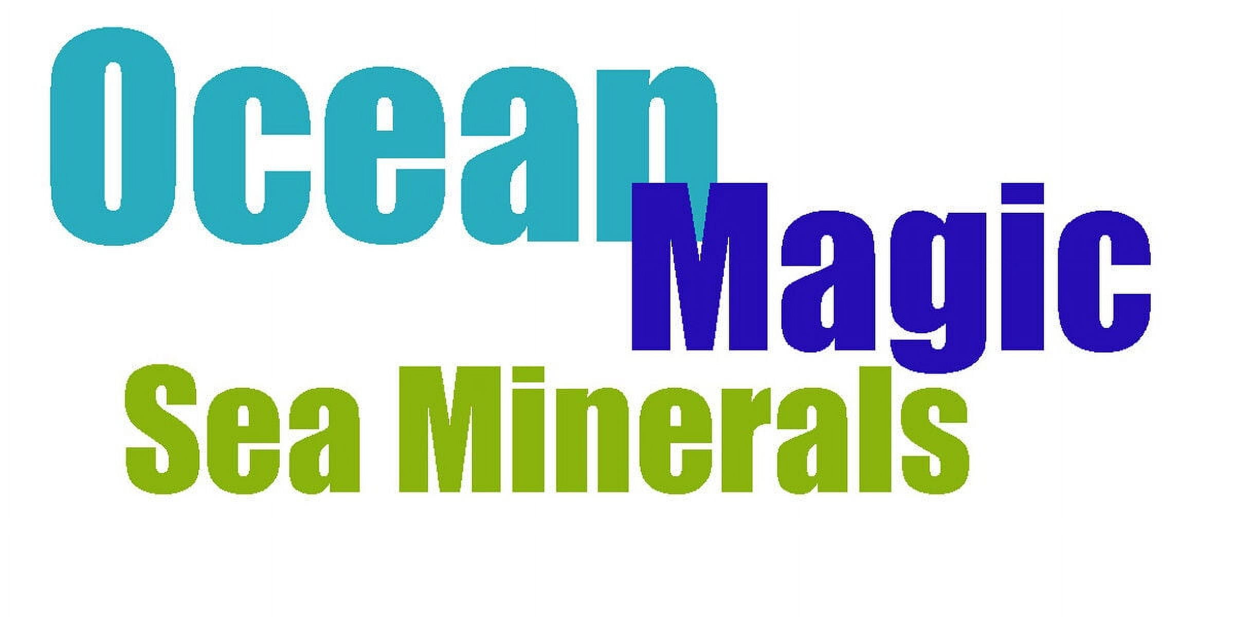 GS Plant Foods Ocean Magic Sea Minerals Fruits Organic Garden Plant Supplement Fertilizer, Soil Mineral Health Improvement, Water Based Spray - One Gallon