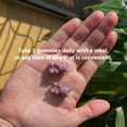 thumbnail image 5 of TruHeight Growth Gummies (Grape) Natural Growth & Development Supplement for Kids & Teens - Vitamin D, K, Calcium & Ashwaganda - Bone Strength Vitamins - Picky Eater Vitamin for Kids - Ages 5+, 5 of 9