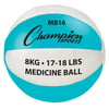 Medicine Ball in Teal and White