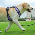 thumbnail image 2 of Pet Others Chest Harness Adjustable Harness for Medium Size Dogs, 2 of 4