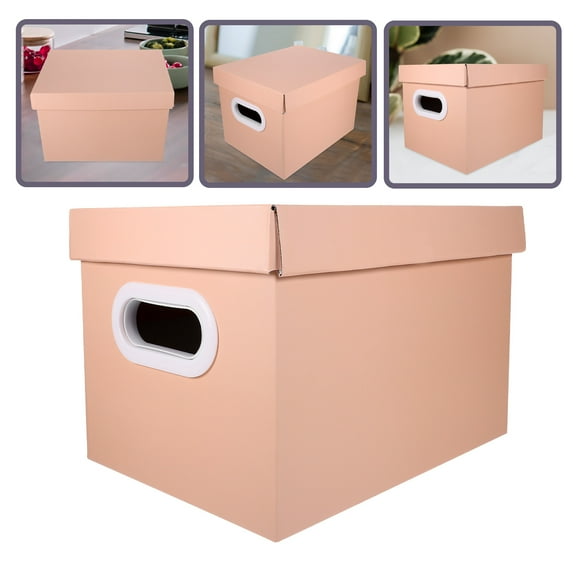 WRISTBIQUE Clothes Boxes Pink 1Set 11X8.3X7.7In