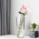 thumbnail image 5 of Transparent Vase Flower Bucket Living Room Flower Arrangement Home Decoration, 5 of 6