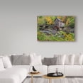 thumbnail image 3 of Trademark Fine Art 'Grist Mill Fall 1' Canvas Art by Galloimages Online, 3 of 3