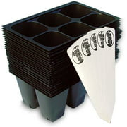 Seedling Starter Trays - 144 Cells (24 Trays - 6 Cells per Tray)   5 THCity Stakes
