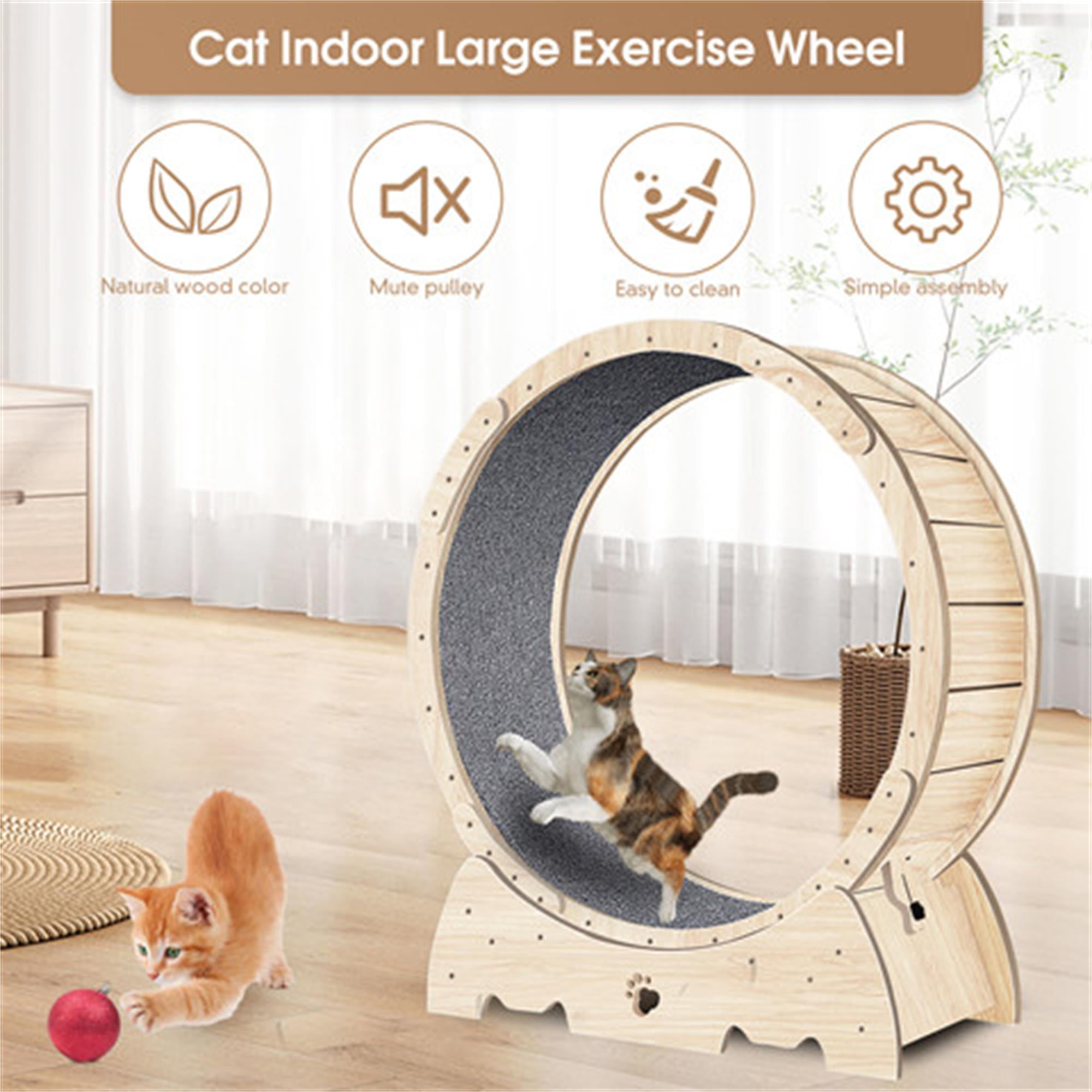 Kadyn 36" Cat Exercise Wheel for Indoor Cats, Cat Running Wheel with Carpeted Runway, Cat Sport Treadmill Wheel for Kitty’s Longer Life, Beige