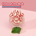 thumbnail image 5 of Xtime Soft Mint Puffs Candy, Velvety Peppermint, 200 Count Pack by Soft Mint Puffs, 5 of 5