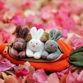 thumbnail image 3 of Easter Saving Feltree Easter Decorations Toys Unzip the rabbit doll toy：3 bunnies in carrot purse Easter Gift, 3 of 8