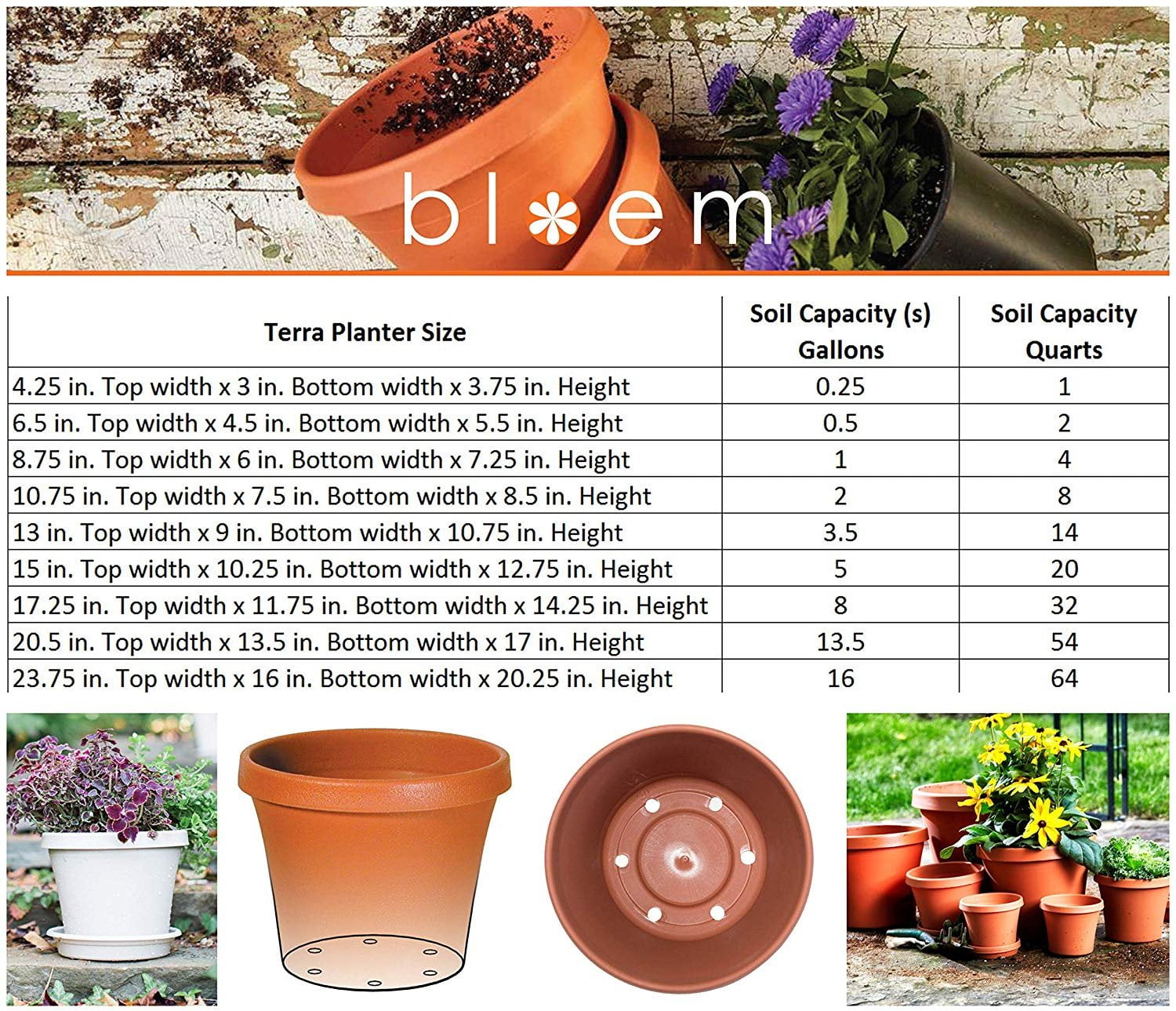 Bloem  Terrapot  Terracotta Clay  Resin  Traditional  Planter  5.5in H x 6in W 