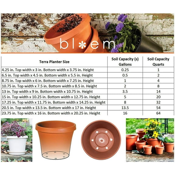 Bloem Terra Plastic Pot Planter 6" Chocolate