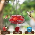 thumbnail image 4 of Comedero para colibríes Nature's Way MHF4, 473 ml, vidrio rojo, 4 of 8