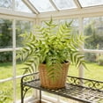 thumbnail image 1 of Artificial Greenery Wall Panel 23.62In Authentic Foliage Detail Long Lasting Fresh Look Safe Gentle Material Build for Indoor Outdoor Home Table Store Hallway Vase Combination Decor, 1 of 6