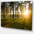 thumbnail image 2 of Bright Sunlight in Dense Forest - Large Landscape Canvas Art, 2 of 4